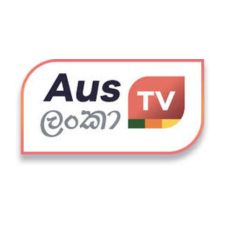 Untitled design (17)